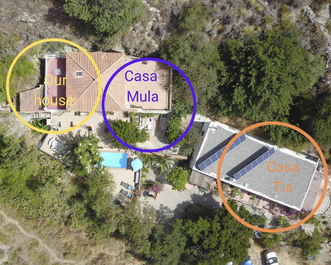 Cortijo Jamaica - Off Grid Paradise - Costa Tropical Los Diaz  Exterior photo